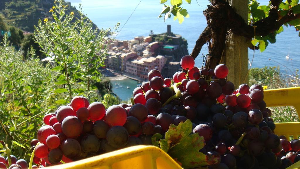 Casa Vacanze Zia Maria Apartment Vernazza Bilik gambar